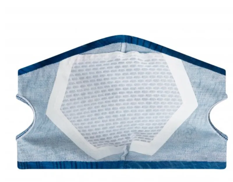 Buff Filter Face Mask In Keren Blue With 5 Filters -1